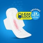 Beautiful Basics Blue Lady Long Pads With Wides Wings Sanitary Pads – 280 mm, 40-Pack - Image 4