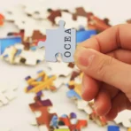 Wooden India Map Puzzle - (1 Set) - Image 5