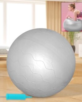 Heavy Duty Gym Ball Non-Slip Stability Ball with Foot Pump for Total Body Fitness