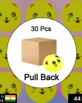 30PCS PULL BACK SMILEY TOY