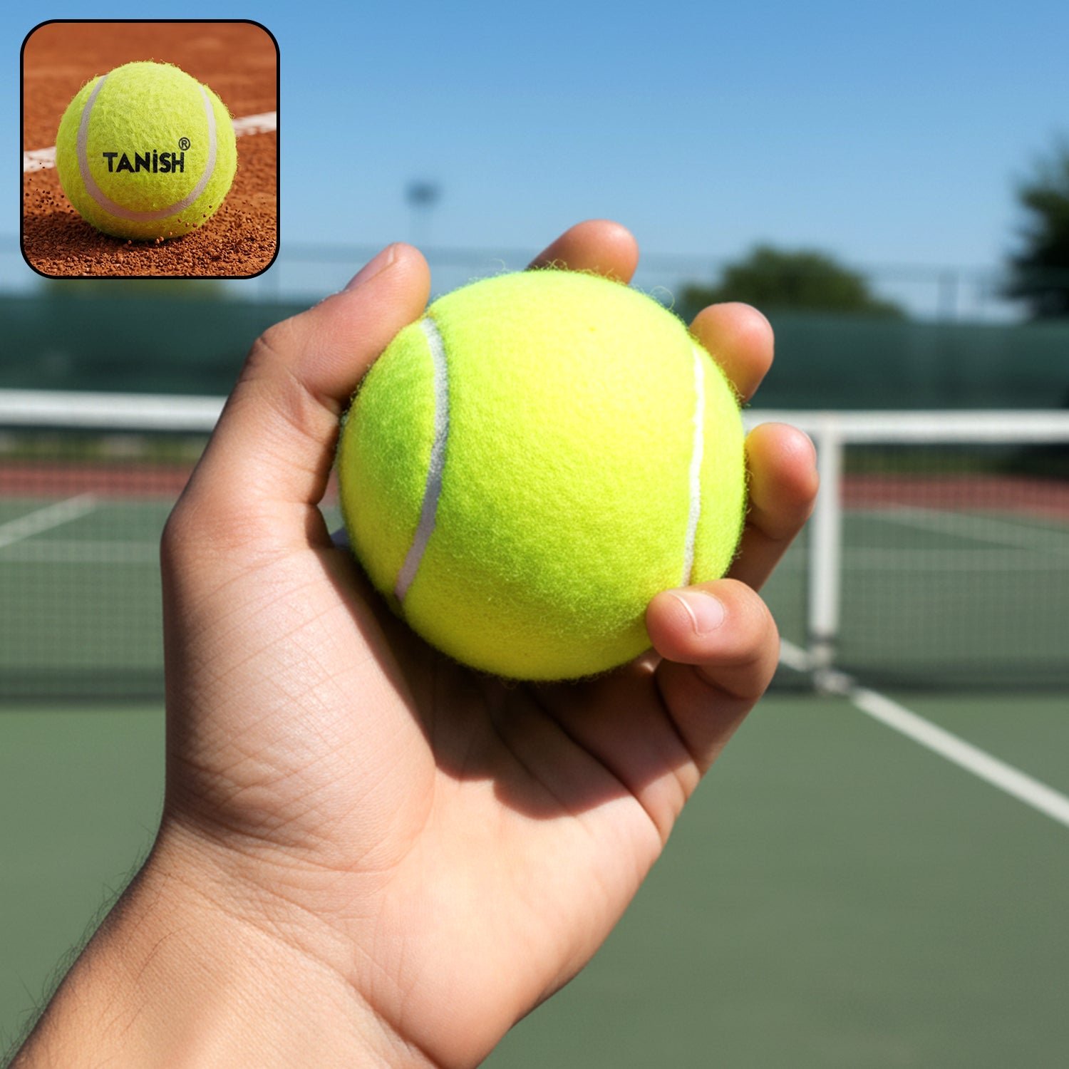 01_a6fa378d-259b-46d5-b0ef-ee2bb9168b30.jpg Premium Tennis Ball (1 Pc) - Image 1