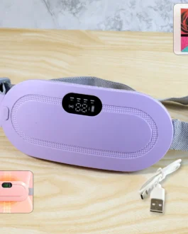 Rechargeable Smart Warm Palace Belt (1 Pc)