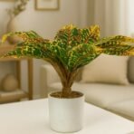Artificial Decorative Leaf Plant with Pot for Home & Office Table Décor