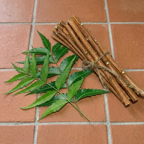 Organic Fresh Neem Datun Sticks Natural Herbal Toothbrush 12 pcs - Image 2