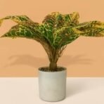 Artificial Decorative Leaf Plant with Pot for Home & Office Table Décor - Image 2
