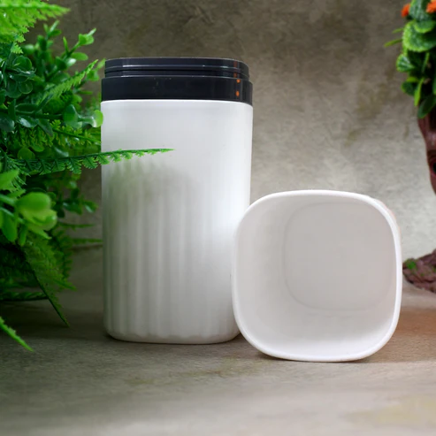 Plastic Hygienic Toothbrush Travel Portable Case - Image 4